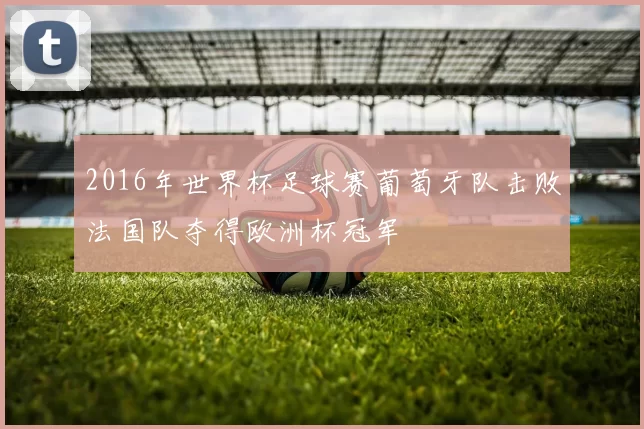 2016年世界杯足球赛葡萄牙队击败法国队夺得欧洲杯冠军