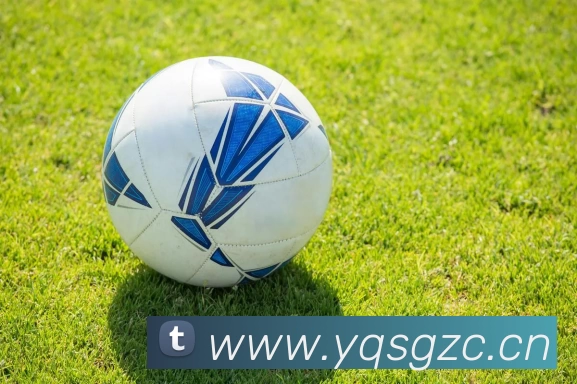 开云网页版 - 开云kaiyun(中国)APP 封面图